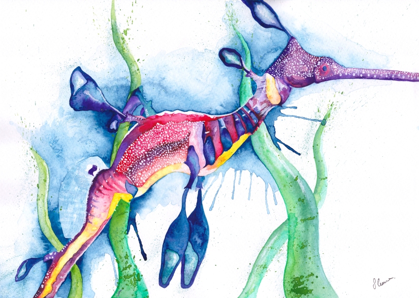 Sea-Dragon-Watercolour-WEB